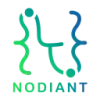 Nodiant favicon