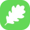OAK (Open-Agent-Kit) favicon