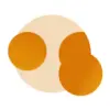 Orango AI favicon
