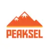 Peaksel favicon