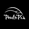 PentoPix favicon