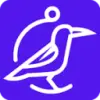 Perch Insights favicon