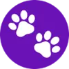 Petshot Pro favicon