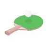 PingPong favicon