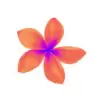 Plumeria favicon