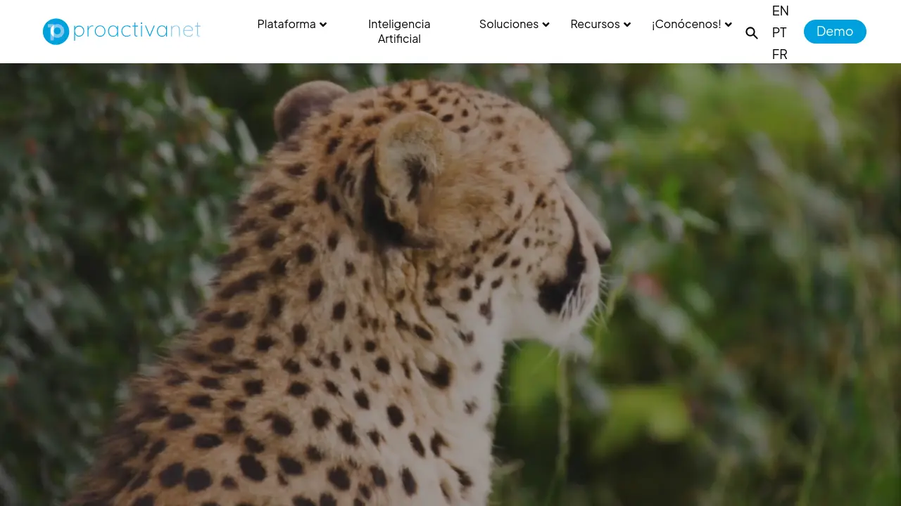 Proactivenet Examples Proactivanet - Automate IT Asset and Service Management with AI-Driven ...