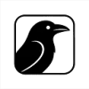 ravensaas.io favicon