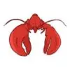 Remote OpenClaw favicon