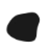 RepoTalent favicon