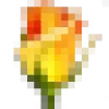 Rosegarden favicon