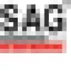 SAG Infotech favicon