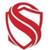 San Security LLC favicon