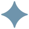 Seed Imagine favicon