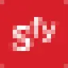 Segmentify favicon