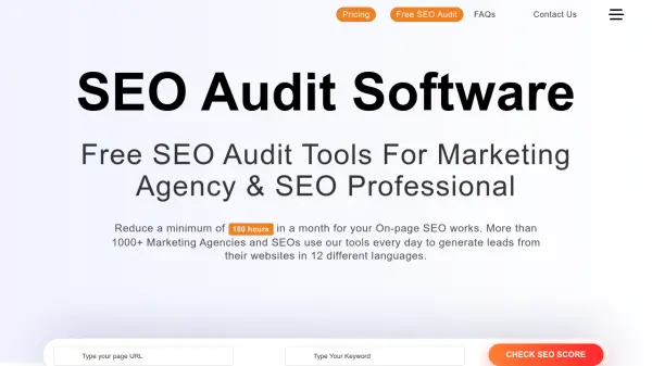 SEO Audit Software