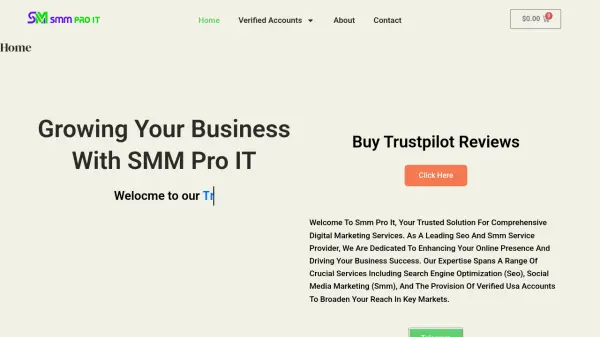 SMM Pro IT