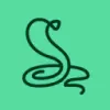 Snake.name favicon