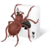Spider Solitaire favicon