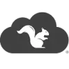 Squirrels favicon