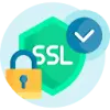 SSL Monitor favicon