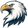 Tattoo Eagle favicon