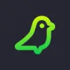 Teamplify favicon