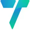 Transolve favicon