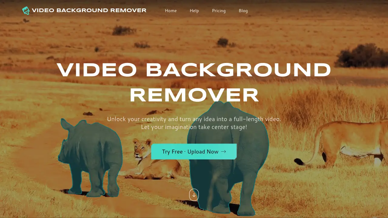 Video Background Remover screenshot