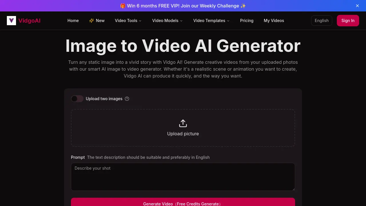 Vidgo AI screenshot
