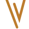 Viqsa Solutions favicon