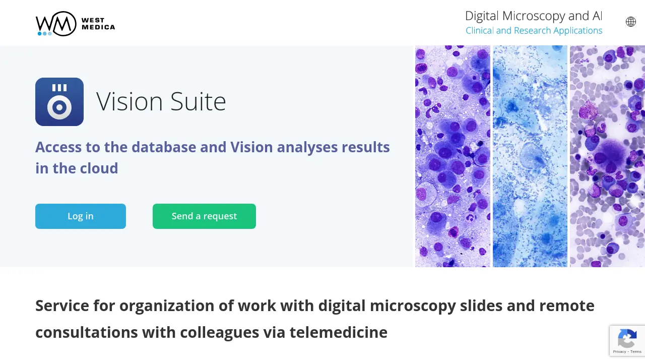 Vision Suite - Modern solution for remote access and effective work ...