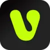 VividHubs.ai favicon