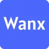 WanX AI favicon