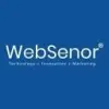 WebSenor favicon
