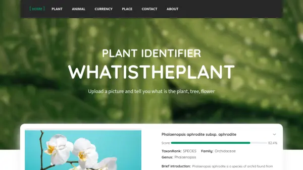 WhatisthePlant