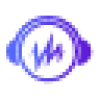 WiredVibe favicon