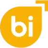 Wise BI favicon