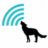 wolfSSL favicon