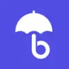 WP Umbrella favicon